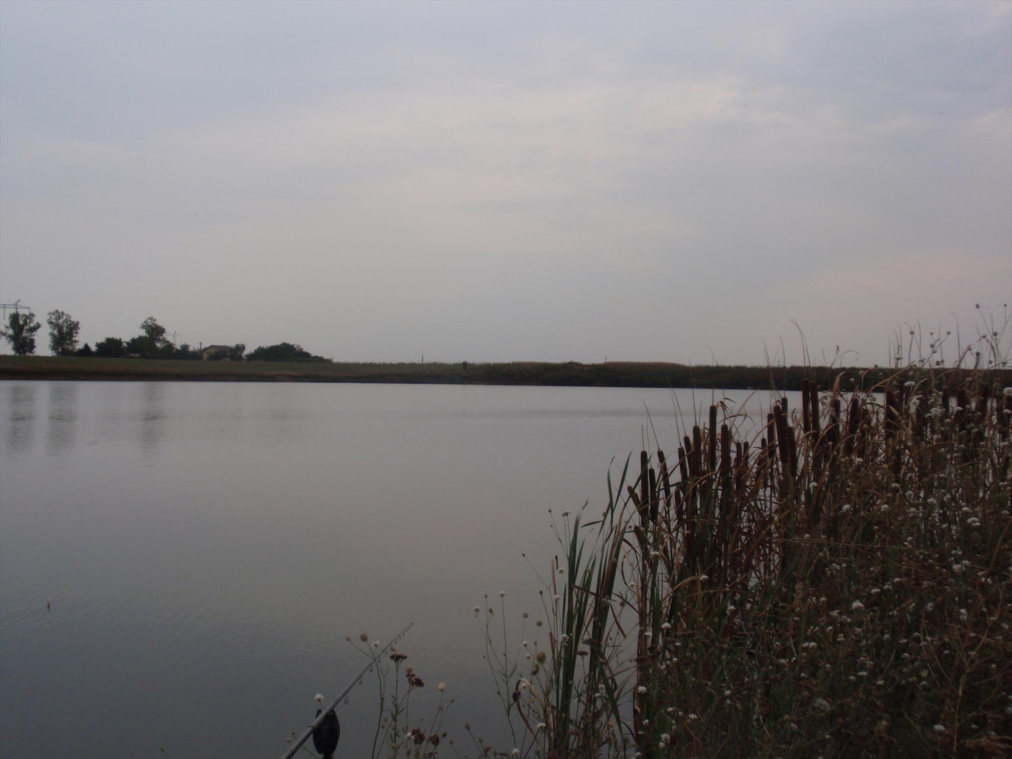 Din viata noastra... - p8240164.JPG